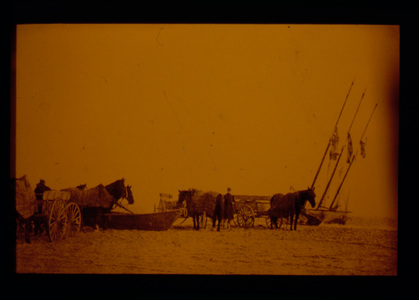 Horses on the Beach